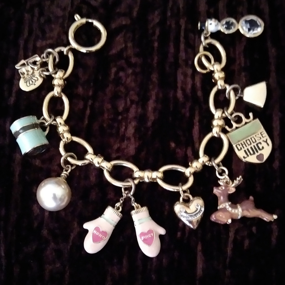JUICY 2006 LIMITED EDITION Jewelry - SALE! FAST SHIPPING! JUICY 2006 LTD EDITION 10 CHARM BRACELET & BOX